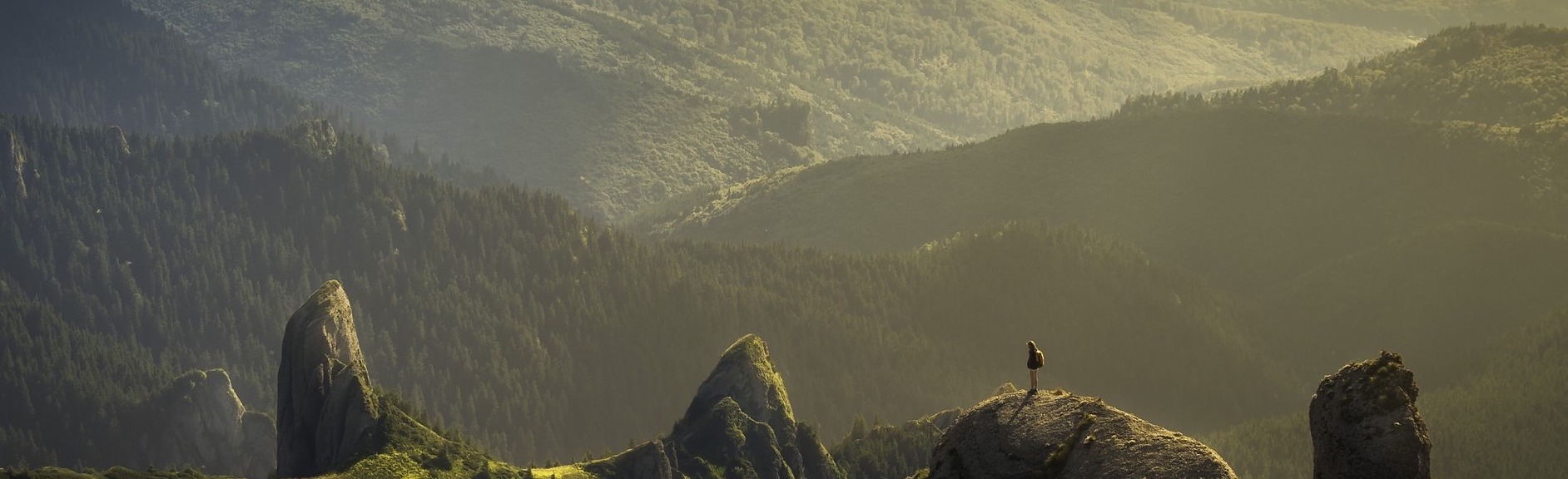 Silvana Gómez Mercado